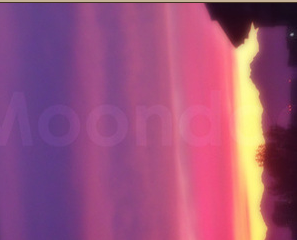Moondog Memories